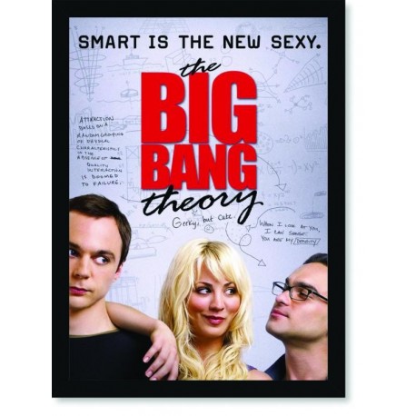 Quadro Poster Cinema The Big Bang Theory 13
