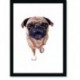 Quadro Poster Pop Art Buldog 2